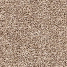 Ковролин Balsan First Class 650 фото 1 | FLOORDEALER