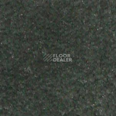 Ковролин Shaw all That Jazz 21340 фото 1 | FLOORDEALER