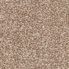 Balsan First Class 650 фото 1 | FLOORDEALER