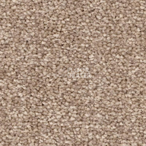 Ковролин Balsan First Class 650 фото 1 | FLOORDEALER