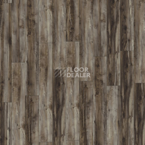 Kronotex Robusto 12мм d6006 Клен Каньон Темный фото 3 | FLOORDEALER