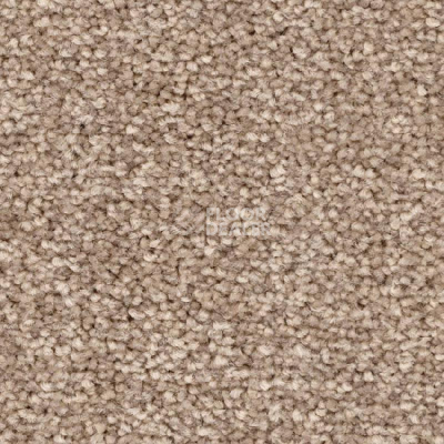 Ковролин Balsan First Class 650 фото 1 | FLOORDEALER