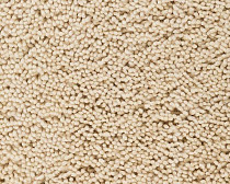 Ковролин Best Wool Pure Palace Lux 101 фото 1 | FLOORDEALER