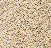 Ковролин Best Wool Pure Palace Lux 101 фото 1 | FLOORDEALER