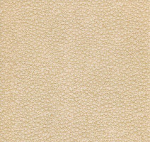 Линолеум Grabo Acoustic Pro 4276_451_4 фото 1 | FLOORDEALER