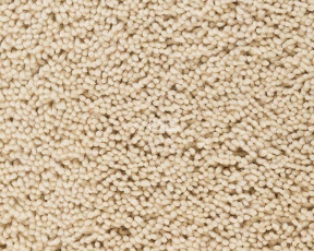 Best Wool Pure Palace Lux 101 фото 1 | FLOORDEALER