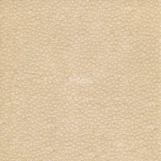 Grabo Acoustic Pro 4276_451_4 фото 1 | FLOORDEALER