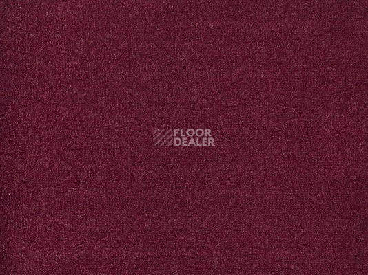 Ковролин Big Andorra 445 фото 1 | FLOORDEALER