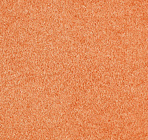 Ковролин ITC Carpe Diem Carpe Diem 055 фото 1 | FLOORDEALER