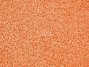 Ковролин ITC Carpe Diem Carpe Diem 055 фото 1 | FLOORDEALER