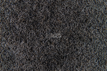 Flotex Colour Calgary 50*50 t590002 Calgary Grey фото 3 | FLOORDEALER