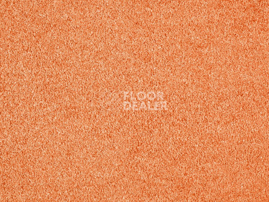 Ковролин ITC Carpe Diem Carpe Diem 055 фото 1 | FLOORDEALER