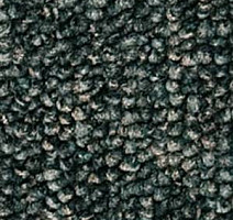 Ковролин Infloor Campo 450 фото 1 | FLOORDEALER