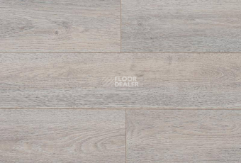 Ламинат My Floor Villa 12мм m1230 Дуб Эльба Титан фото 1 | FLOORDEALER
