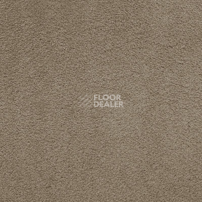 Ковролин AW Masquerade Lamia 49 фото 1 | FLOORDEALER