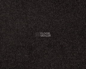 Ковролин Lano Boheme 800 Ebony фото 1 | FLOORDEALER