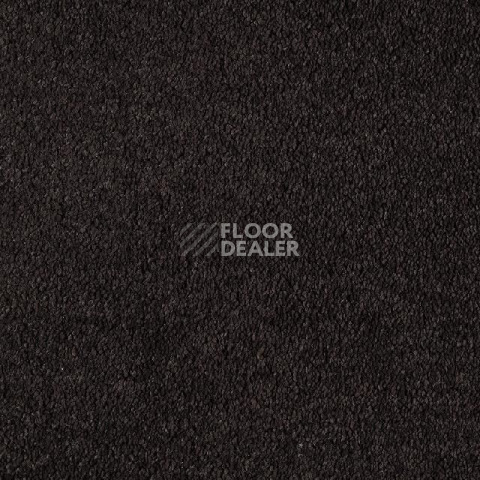 Ковролин Lano Boheme 800 Ebony фото 1 | FLOORDEALER