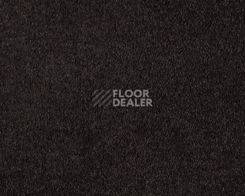 Ковролин Lano Boheme 800 Ebony фото 1 | FLOORDEALER