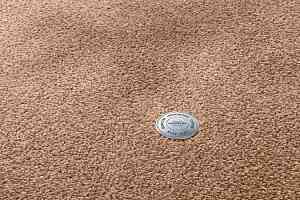 Ковролин Vorwerk Superior 1064/Lyrica Vorwerk 2f38 фото  | FLOORDEALER