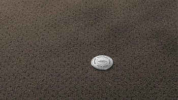 Ковролин Vorwerk Superior 1071 Vorwerk 7g85 фото 1 | FLOORDEALER