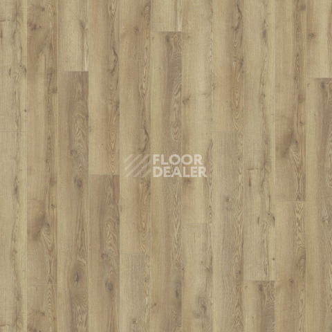 Kronotex Mammut d4725 Дуб Горный Природный фото 5 | FLOORDEALER