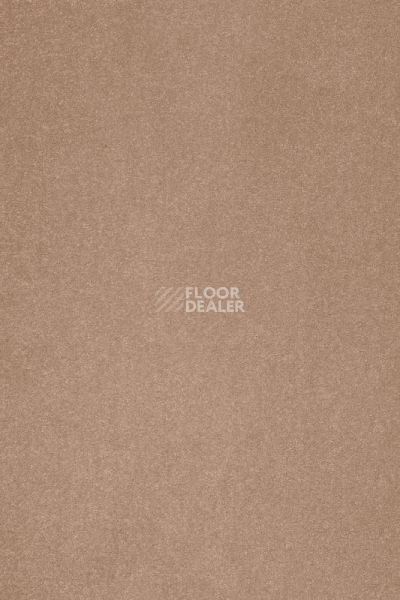 Ковролин AW Masquerade Varuna 80 фото 1 | FLOORDEALER
