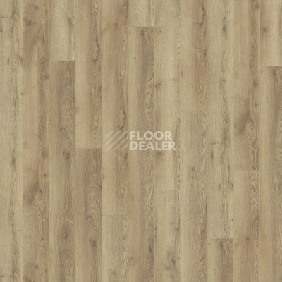 Ламинат Kronotex Mammut d4725 Дуб Горный Природный фото 5 | FLOORDEALER