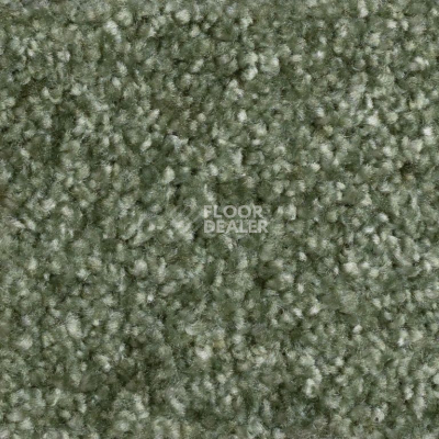 Ковролин AW Masquerade Certosa 24 фото 1 | FLOORDEALER