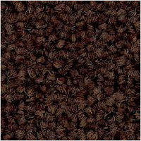 Ковровая плитка Tecsom 3580 dm 007 фото 1 | FLOORDEALER