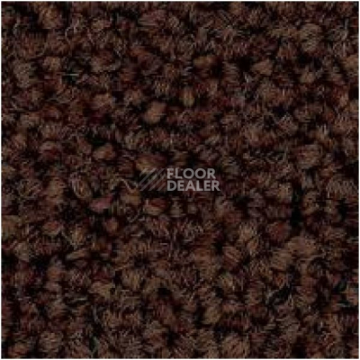 Ковровая плитка Tecsom 3580 dm 007 фото 1 | FLOORDEALER