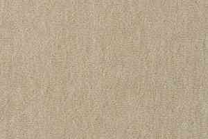 Ковролин Vorwerk Passion 1002 Vorwerk 8f95 фото  | FLOORDEALER