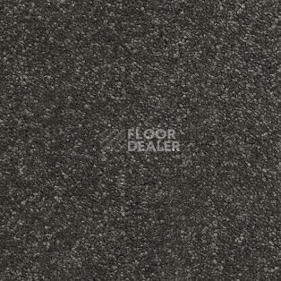 Ковролин AW Raffles 97 фото 1 | FLOORDEALER