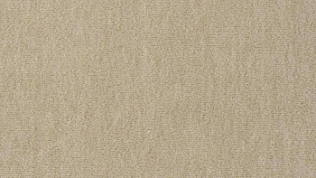 Ковролин Vorwerk Passion 1002 Vorwerk 8f95 фото 1 | FLOORDEALER