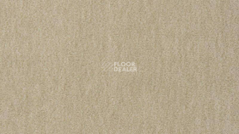 Ковролин Vorwerk Passion 1002 Vorwerk 8f95 фото 1 | FLOORDEALER