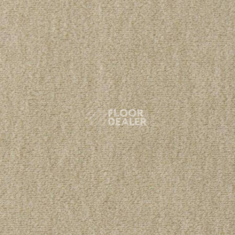 Ковролин Vorwerk Passion 1002 Vorwerk 8f95 фото 1 | FLOORDEALER