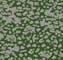Ковролин Flotex Sottsass Bacteria 990403 фото 1 | FLOORDEALER