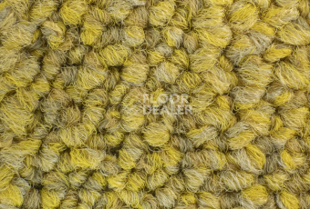 Desso Desert 6103 фото 3 | FLOORDEALER