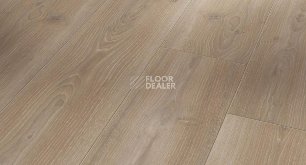 Ламинат Parador Trendtime 6 1601103 Дуб Скайлайн Жемчужно-серый фото 1 | FLOORDEALER