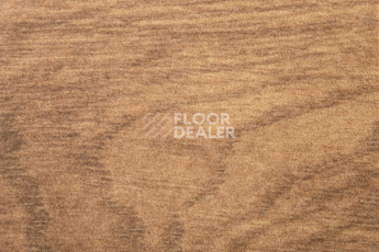 Vertigo Toronto 1757 012 фото 2 | FLOORDEALER