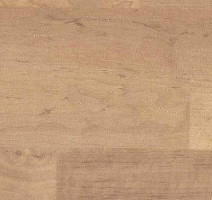 Линолеум Novoflor Standard 4100_2 фото 1 | FLOORDEALER