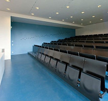 Marmorette Acoustic DLW