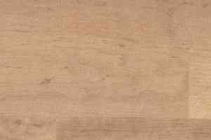 Линолеум Novoflor Standard 4100_2 фото  | FLOORDEALER