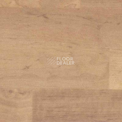 Линолеум Novoflor Standard 4100_2 фото 1 | FLOORDEALER