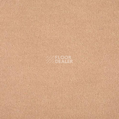 Ковролин Lano Mambo 260 фото 1 | FLOORDEALER