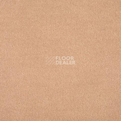 Ковролин Lano Mambo 260 фото 1 | FLOORDEALER