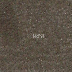 Ковролин Shaw all That Jazz 21323 фото 1 | FLOORDEALER