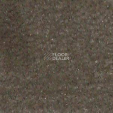 Ковролин Shaw all That Jazz 21323 фото 1 | FLOORDEALER