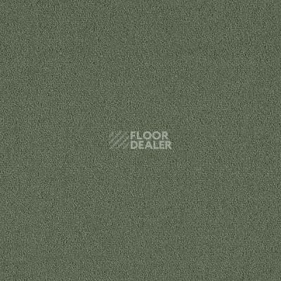 Ковровая плитка Interface Menagerie 304957 фото 1 | FLOORDEALER