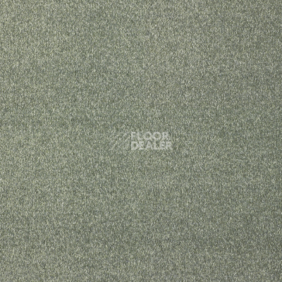 Ковролин AW Satisfaction 23 фото 1 | FLOORDEALER