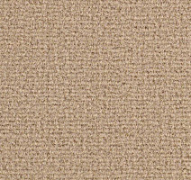 Ковролин Balsan Residentiel 605 фото 1 | FLOORDEALER